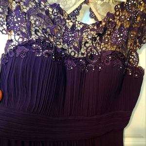 Ever Pretty eggplant Purple evening dress size 16.